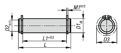 ACHSBOLZEN MIT RINGSICHERUNG D1=6, L=22, STAHL 1.0503.07 VERGÜTET, GESCHL., B... - 2