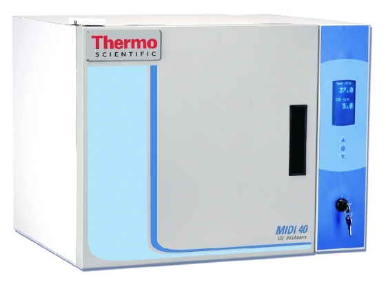 CO2-Inkubator Midi 40 mit kleinem Vol. | Typ: