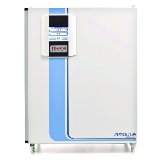 CO2-Inkubatoren mit Innenbehälter Heracell™ 150i/240i | Typ: