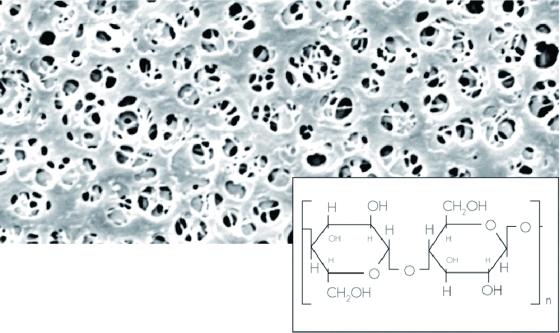 Membranfilter Regenerierte Cellulose | mm: