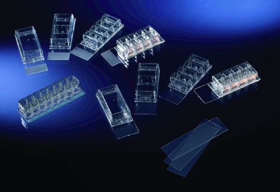 Objektträger Lab-Tek™ Chamber Slide™ System PS | Typ: - 1