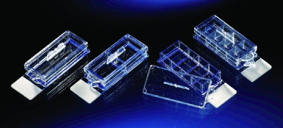 Objektträger Lab-Tek™ Chamber Slide™ System PS | Typ: - 2