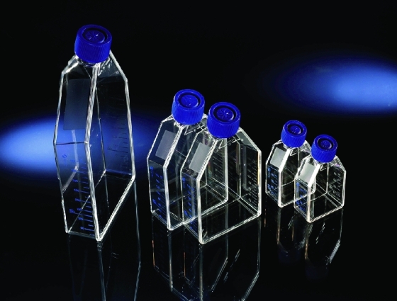 Zellkulturflaschen EasYFlask™ behandelt PS/HDPE steril | Arbeitsvolumen ml: