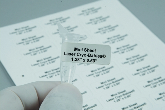 Laser-Tiefk&uuml;hletiketten Cryo-Babies&reg; und Cryo-Tags&reg; | Typ: