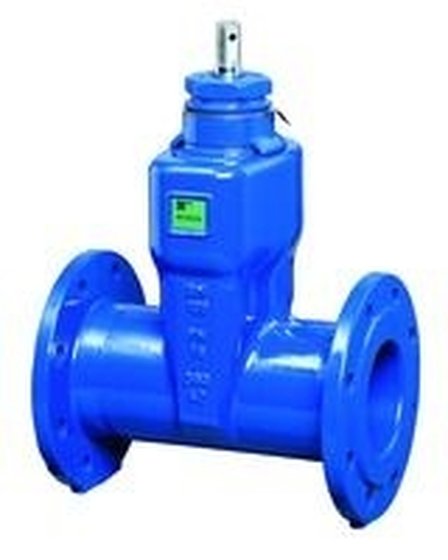 Absperrschieber, BETA® 200, GGG, Wasser DN 300, BL 500 mm, PN10, Dichtung EPDM - 2