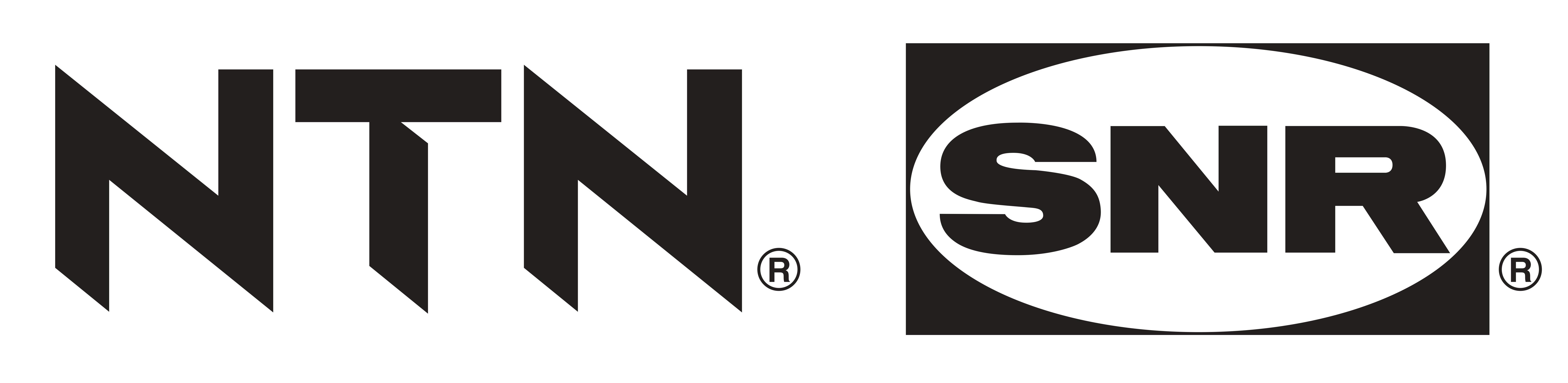 SNR LSE20LUU-AJ - NORMKUGELBUCHSE